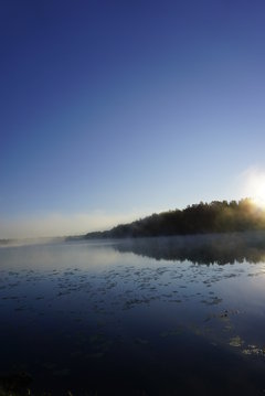 _DSC4040.jpg
