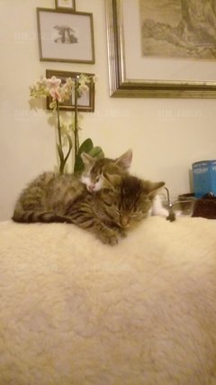 Message_1509825692120.jpg