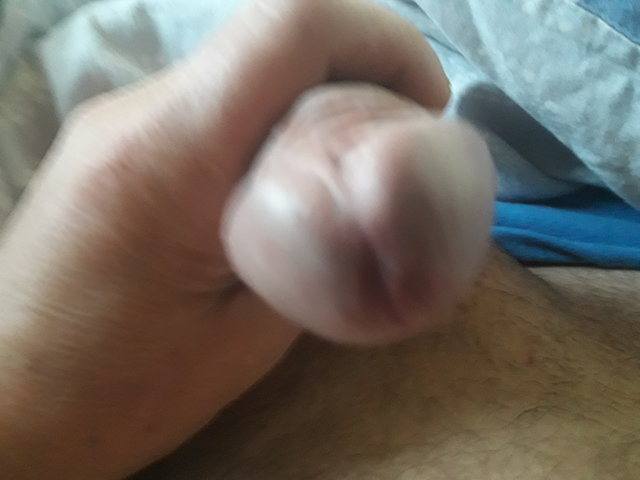 jorkRe100567