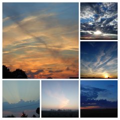 DSC02375-COLLAGE.jpg