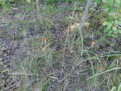 IMG_20180909_131400.jpg