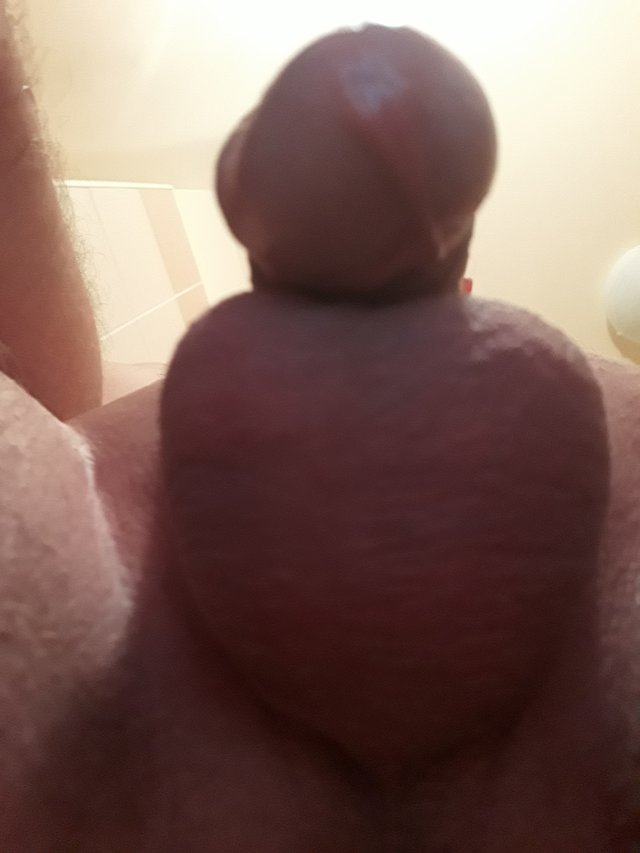 bolek_33