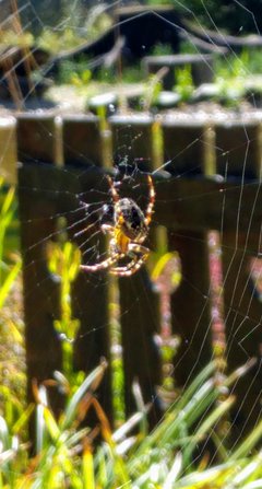 20180913_105359~2.jpg
