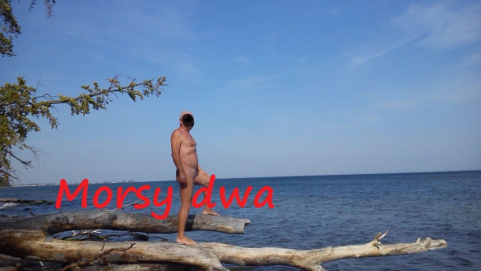 B.D. - Morsy_dwa