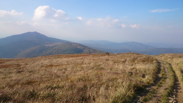 tomasz198291