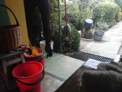 IMG_20180924_102252.jpg