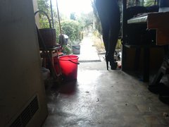 IMG_20180924_102135.jpg