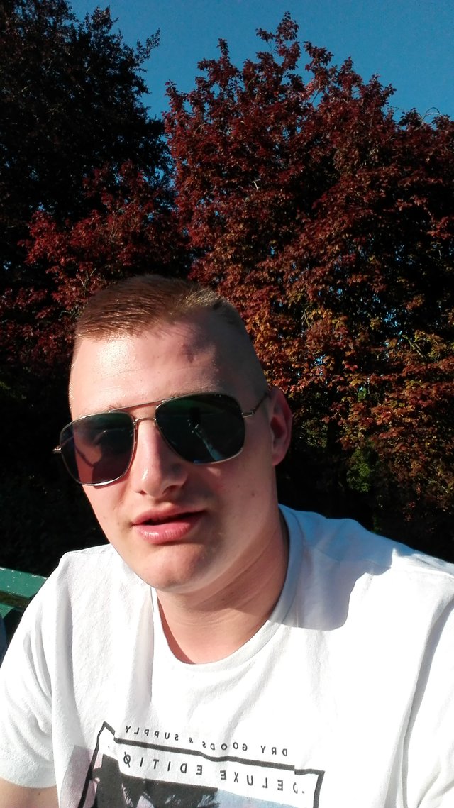 Dwitek1
