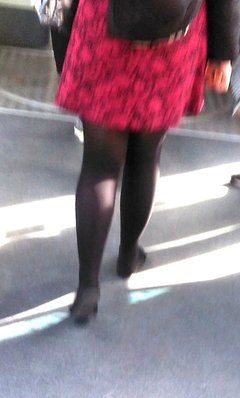 IMG_201809241708cz.jpg