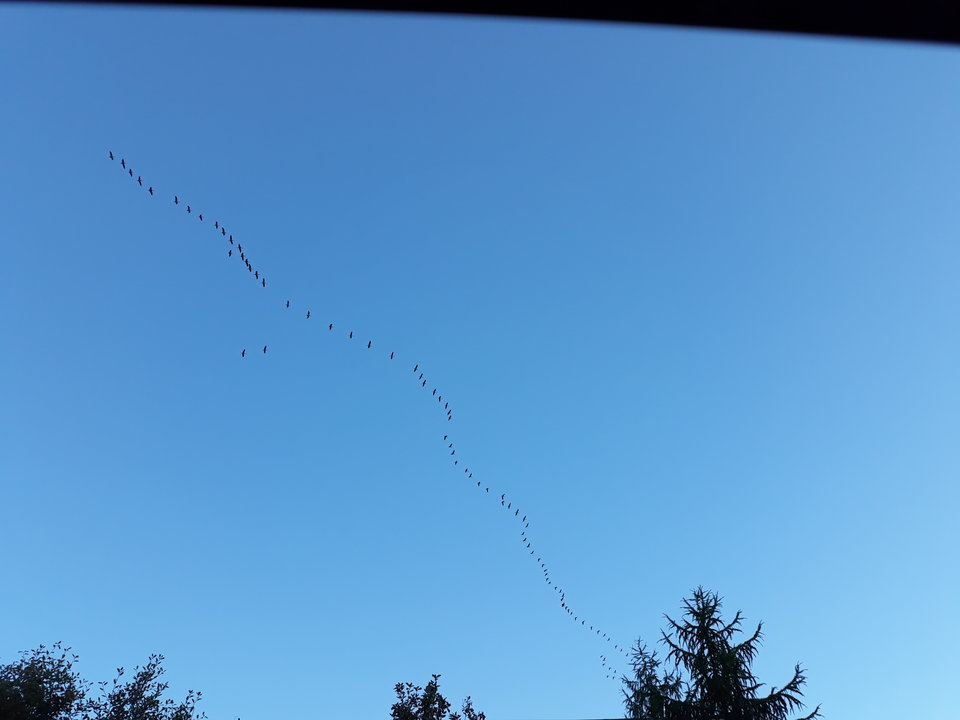 20180925_175736.jpg - wirtualna11