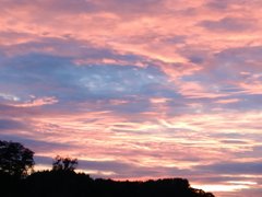 IMG_20180926_184821.jpg