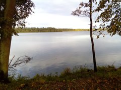 93D40308-66F8-4DAB-AA79-0C567AE4BA8F.jpeg
