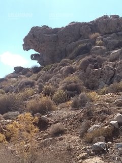 IMG_20180928_144211629.jpg