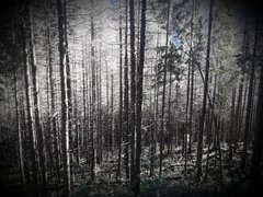 20180930_070218.jpg