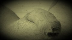 IMG_20180930_102004.jpg