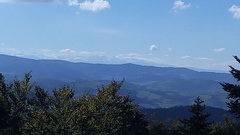 IMG_20180926_120353.jpg
