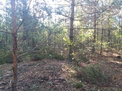 20180929_091255[1].jpg