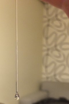 D0D7A3D8-D8A7-43AF-9CEC-B31A59B5C32E.jpeg