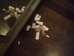 20181006_025919.jpg