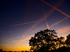 _1050639.jpg