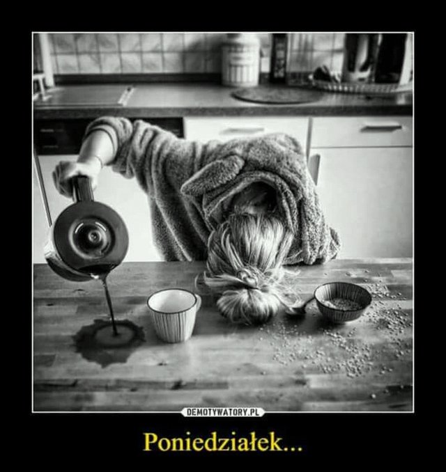 loczki_dwa