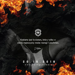 www.swingunited.pl