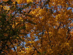 _1050714.JPG