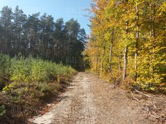 20181011_121702[1].jpg