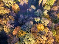DJI_0251a.jpg