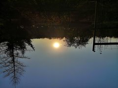 IMG_20181014_171045.jpg