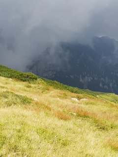 20180723_140204.jpg