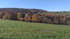 IMG_20181013_115224.jpg