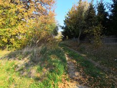 IMG_20181018_122331.jpg