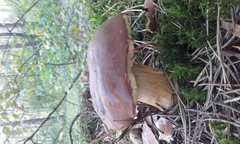20180920_084523.jpg