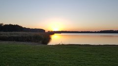 Resized_20181014_175303.jpeg