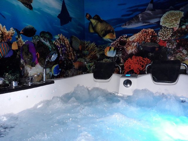 minispa
