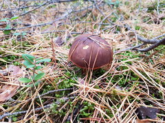 20181026_164616.jpg