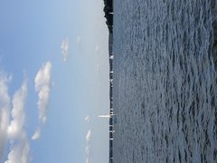 IMG_20180817_172019.jpg