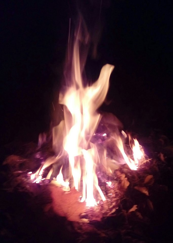 20181011_212642-1~2.jpg - 1radosnaparka