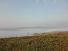 IMG_20171019_081304.jpg