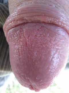 IMG_20181027_080952.jpg