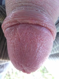 IMG_20181027_080945.jpg