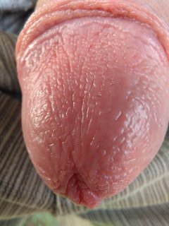IMG_20181027_080937.jpg