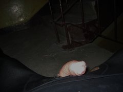 IMG_0037.JPG