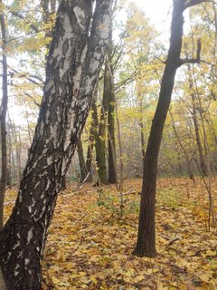 20181027_101553.jpg