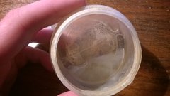 WP_20171019_005.jpg
