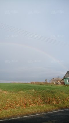20181029_140518.jpg