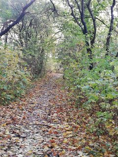 IMG_20181030_092927.jpg