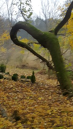 20181101_130447.jpg