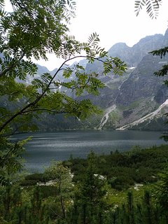 IMG_20180724_134221.jpg